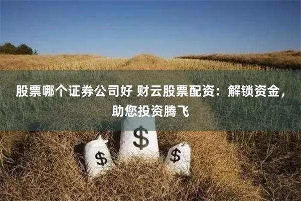 股票哪个证券公司好 财云股票配资：解锁资金，助您投资腾飞