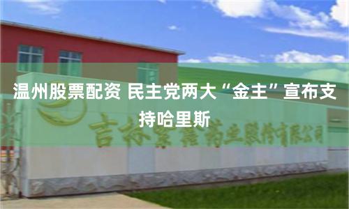 温州股票配资 民主党两大“金主”宣布支持哈里斯