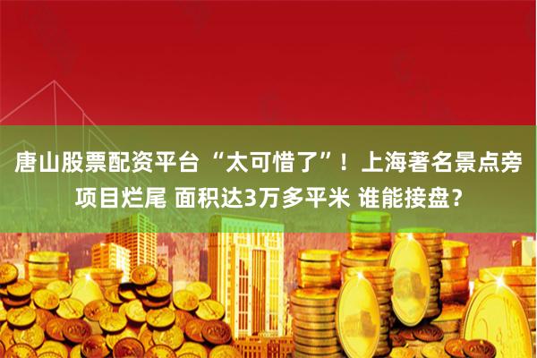 唐山股票配资平台 “太可惜了”！上海著名景点旁项目烂尾 面积达3万多平米 谁能接盘？