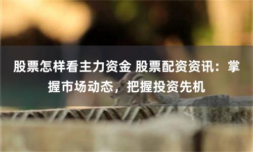 股票怎样看主力资金 股票配资资讯：掌握市场动态，把握投资先机